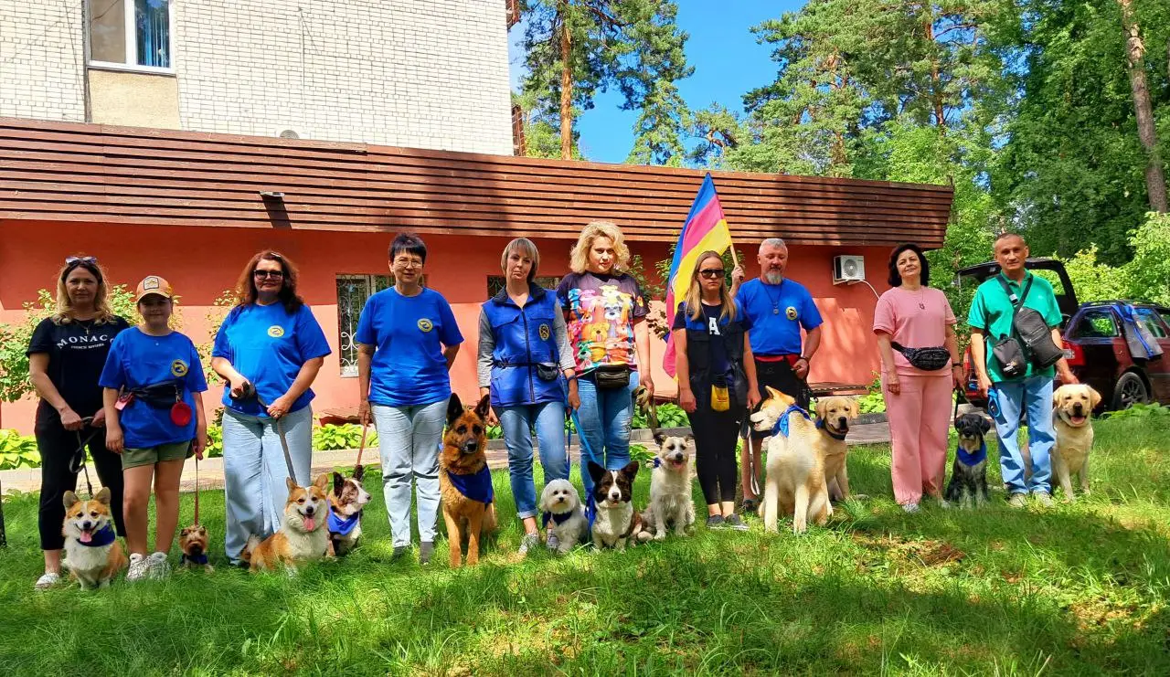Зображення для новини 🐾 Терапія любов’ю та довірою