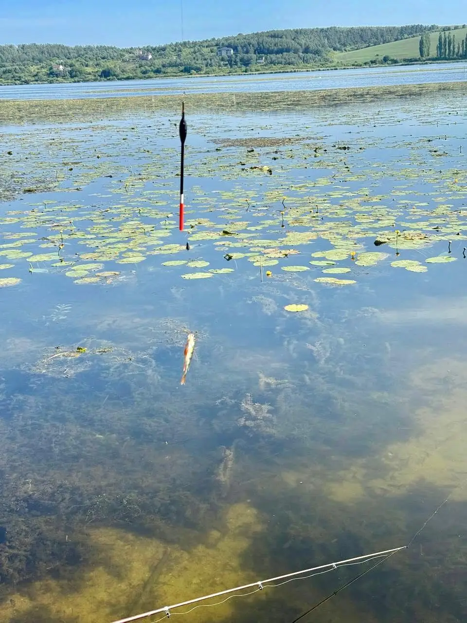 Зображення для новини Риболовля для поранених військовослужбовців і поліцейських: підтримка та відновлення в ДУ "ТМО МВС України по Тернопільській області"
