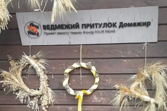 Зображення для новини Ведмежий притулок "ДОМАЖИР"