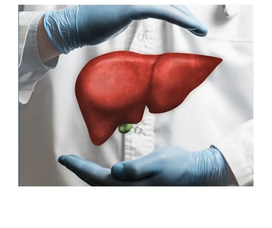 Зображення для новини Всесвітній день боротьби з вірусними гепатитами