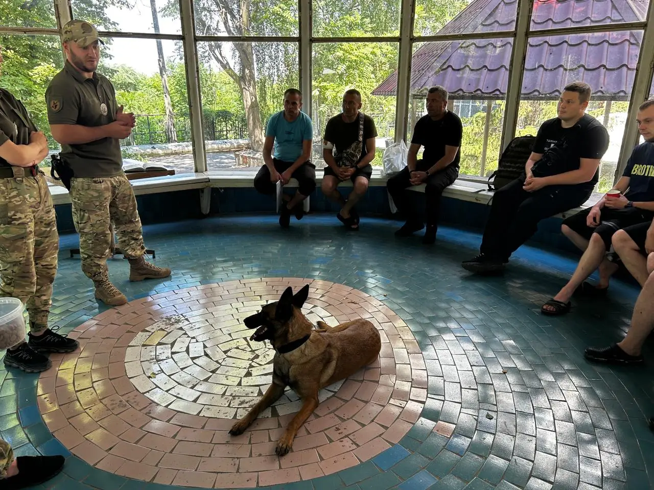 Зображення для новини Сеанс каністерапії для наших захисників