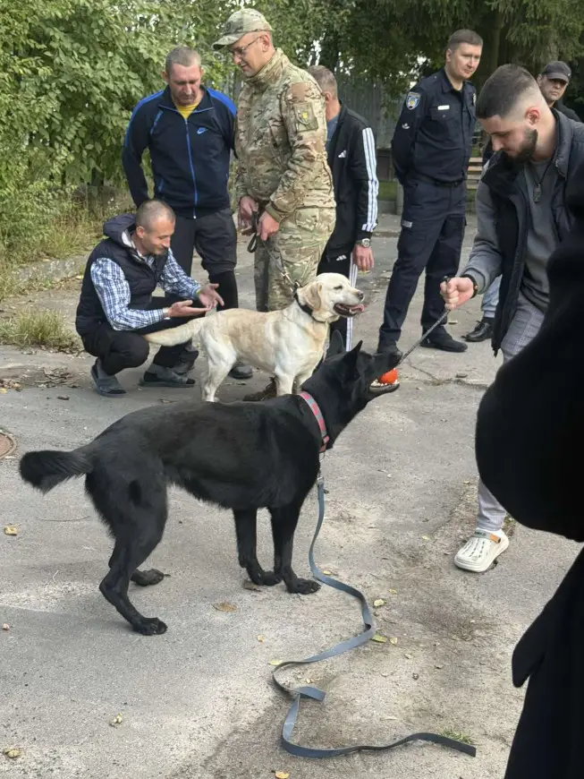 Зображення для новини Каністерапія для військовослужбовців