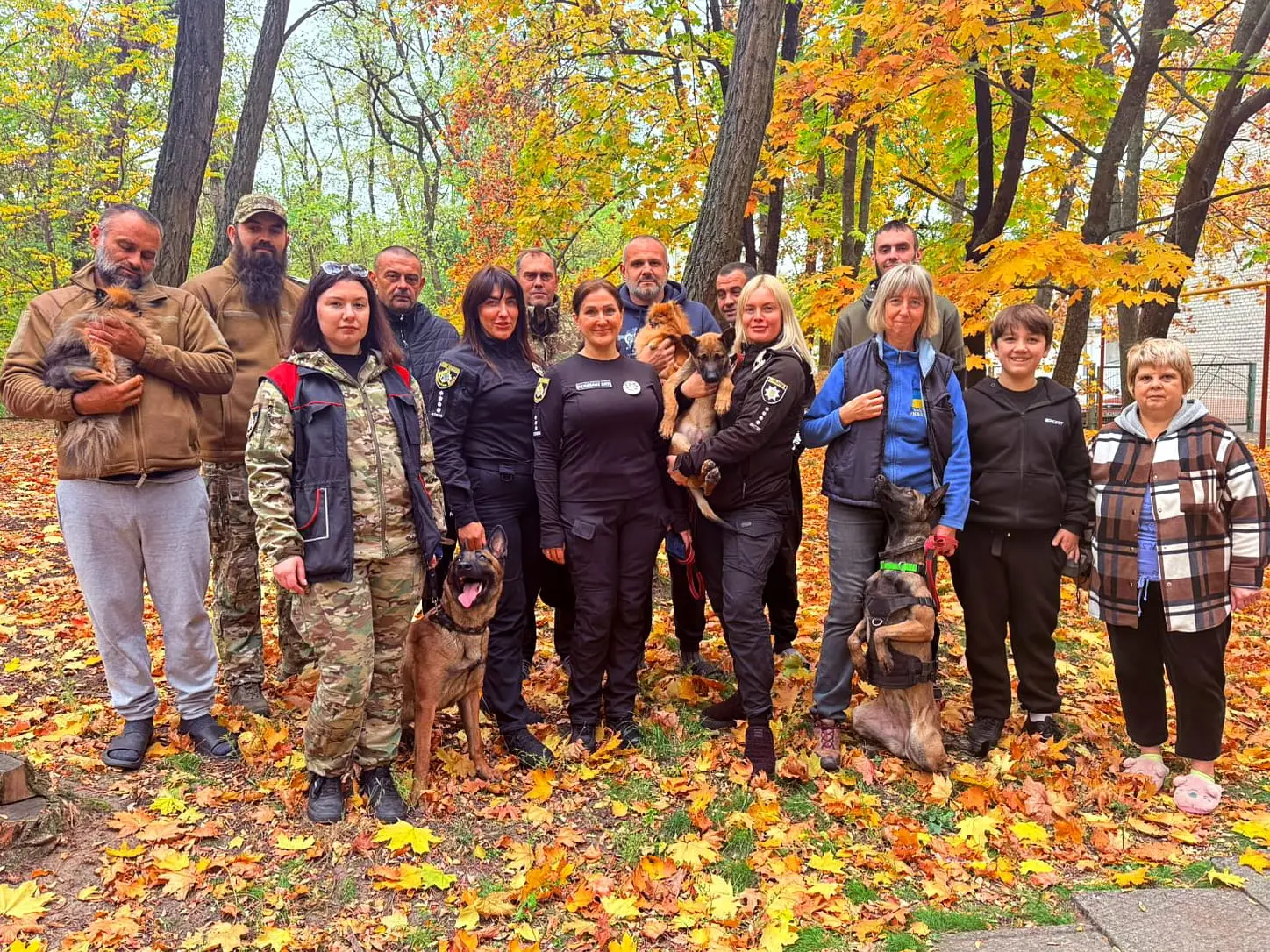 Зображення для новини Лікування турботою