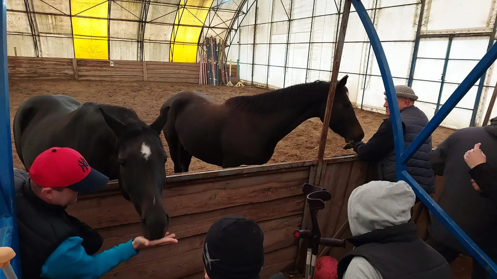 Зображення для новини Виїзд  до ГО кінно-спортивний клуб «ІМПУЛЬС»