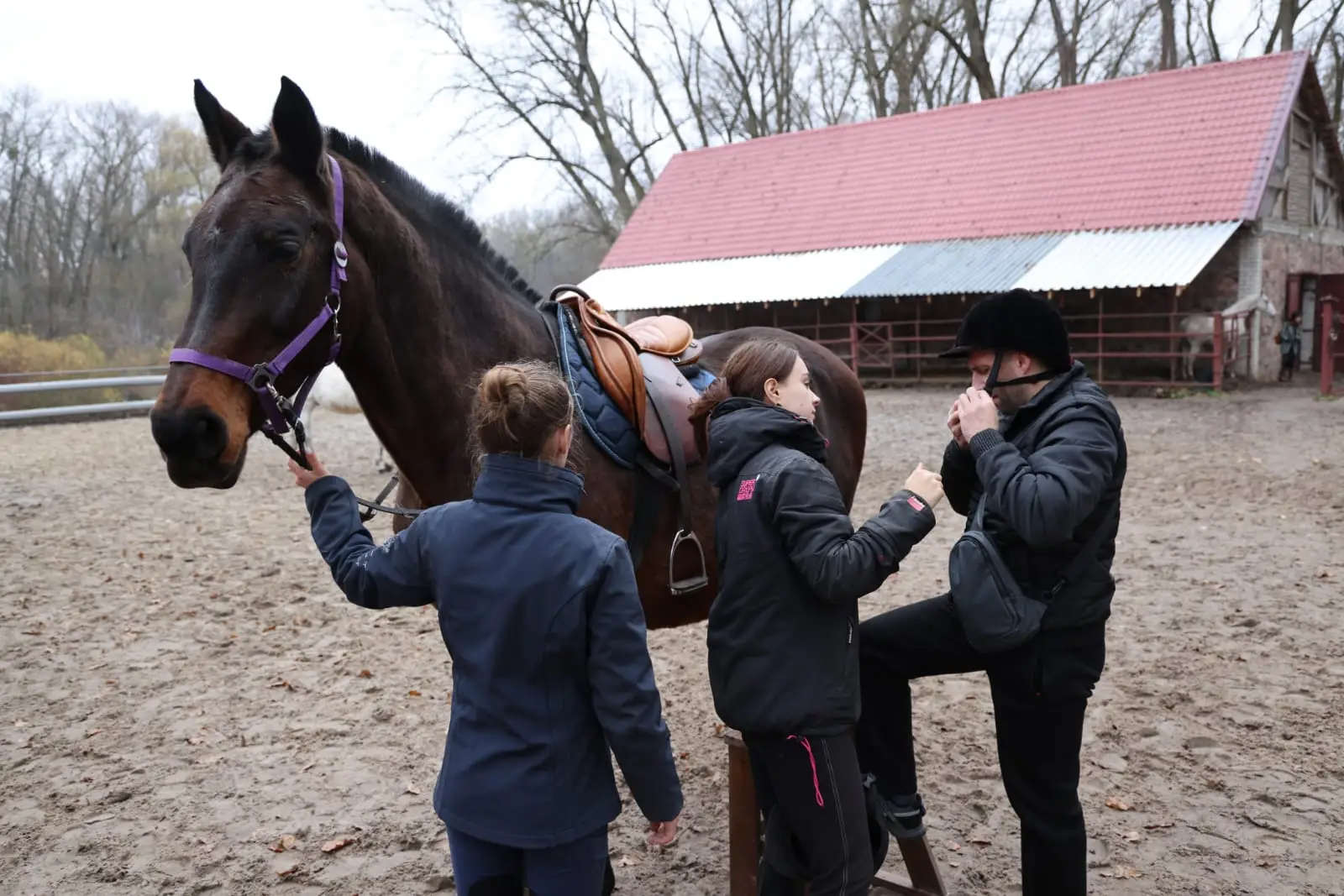 Зображення для новини Сила довіри. Сила коня. Сила людини.