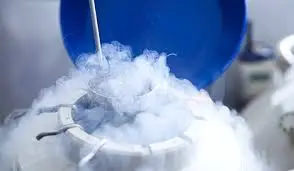 Зображення для новини Права військовослужбовців та інших осіб на біологічне батьківство (материнство)