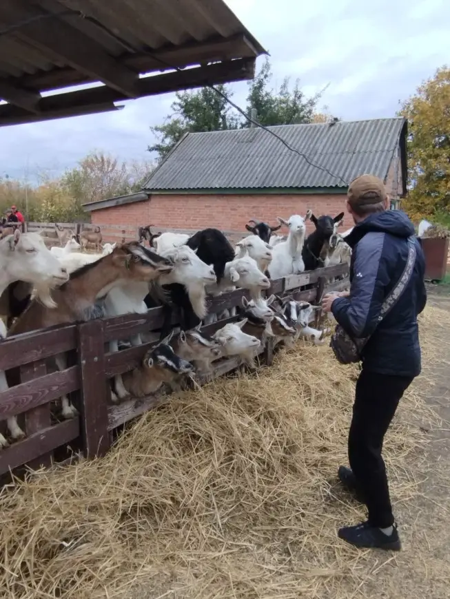 Зображення для новини Відвідування контактної козиної ферми "Садиба родини Блонських"