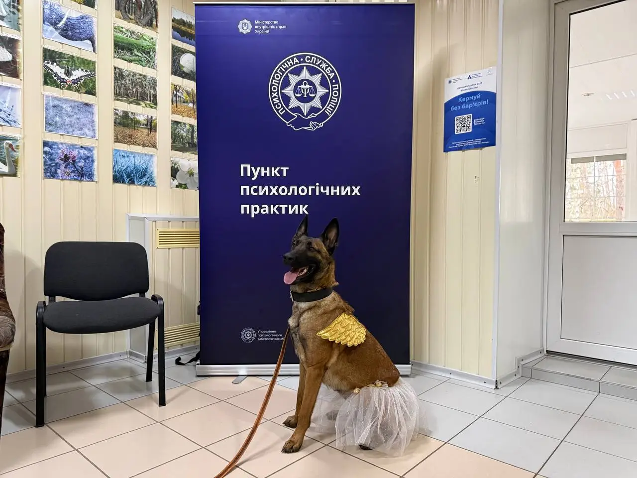 Зображення для новини Комплексне реабілітаційне заняття для поранених