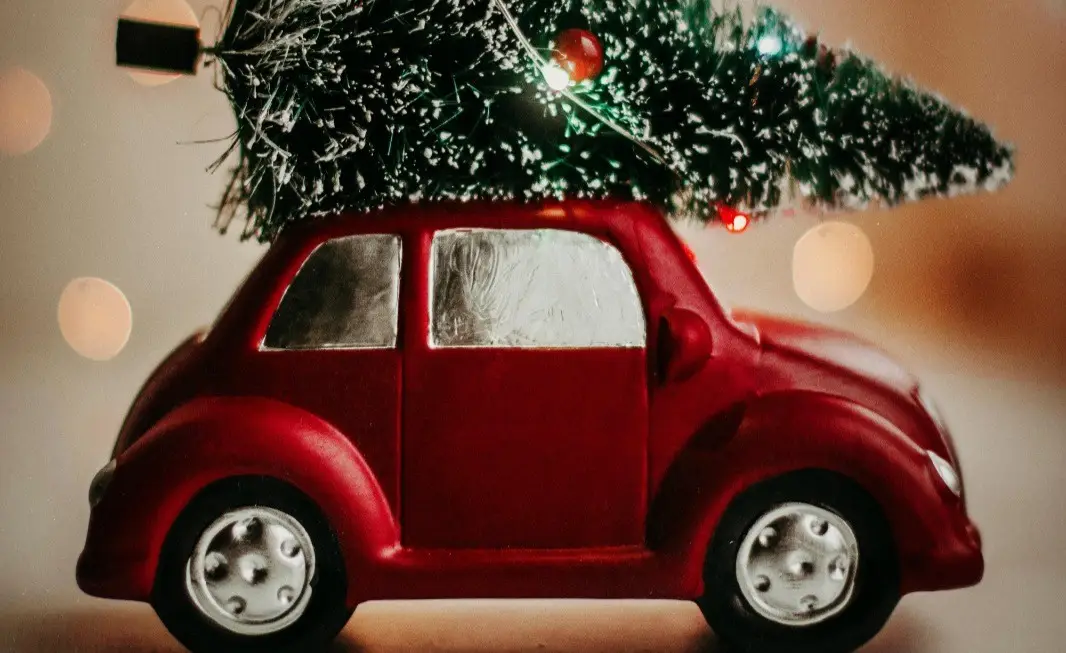 Зображення для новини У ці святкові дні, коли стаються дива.....