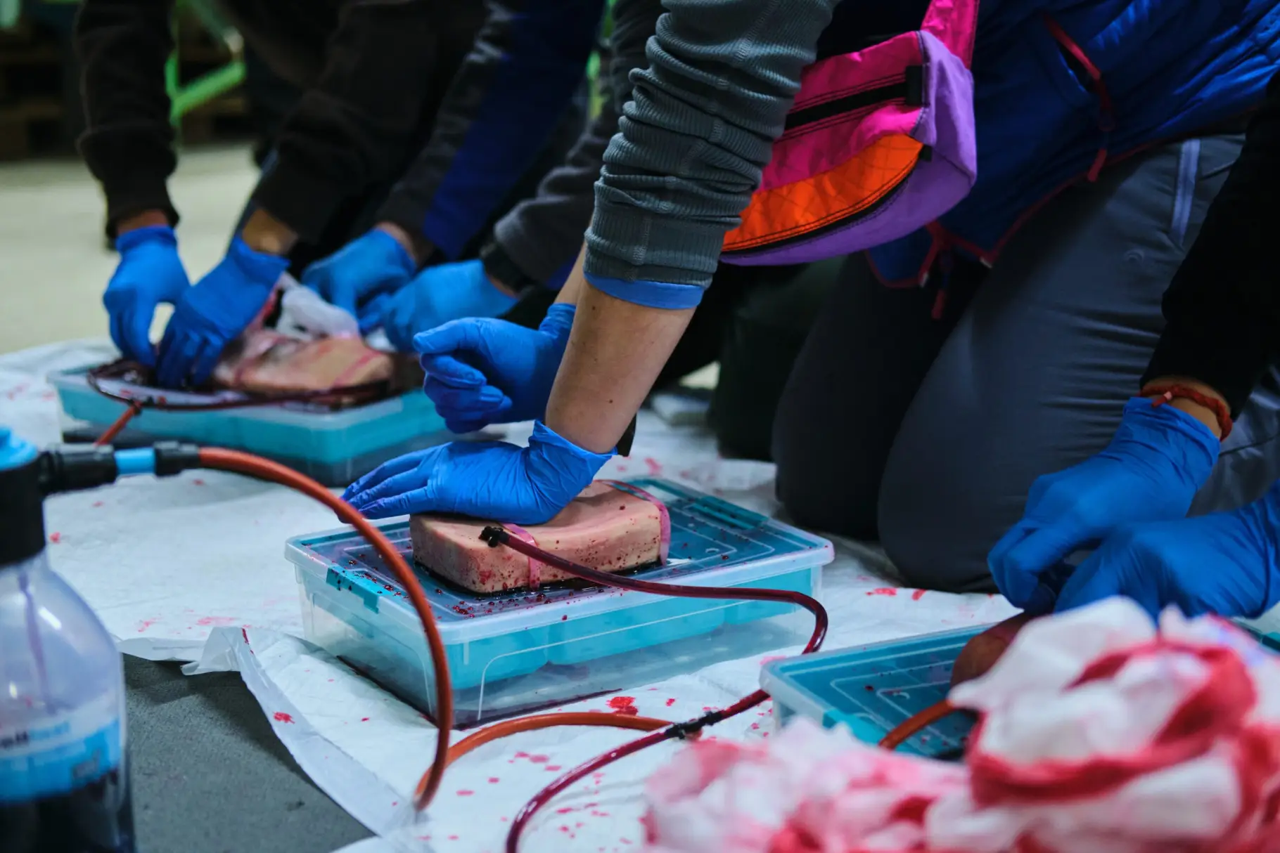 Зображення для новини Гартуємо професійну майстерність