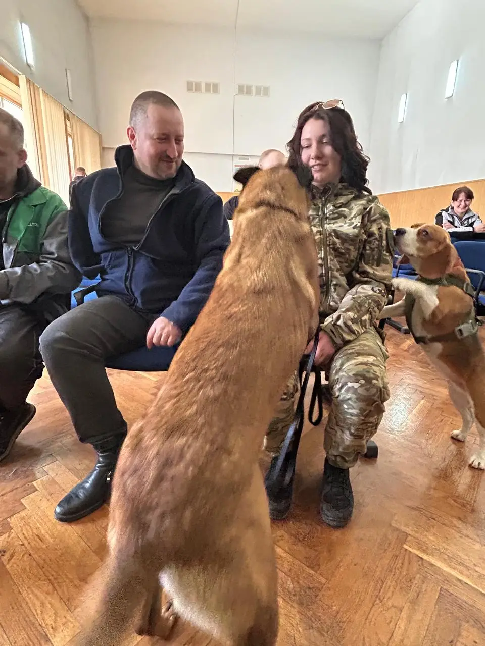 Зображення для новини Каністерапія