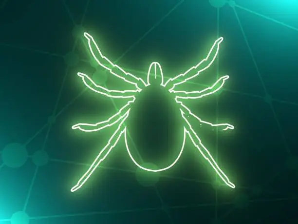 Зображення для новини Обережно, кліщі! Що варто знати про хворобу Лайма.