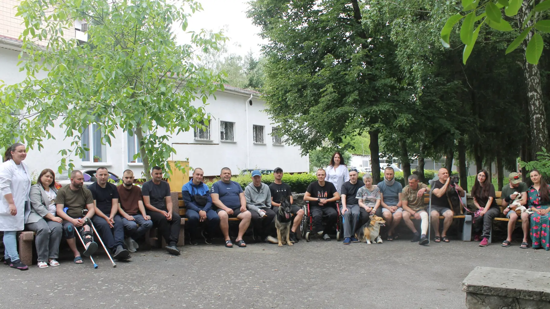 Зображення для новини Чотирилапі друзі, які лікують серце