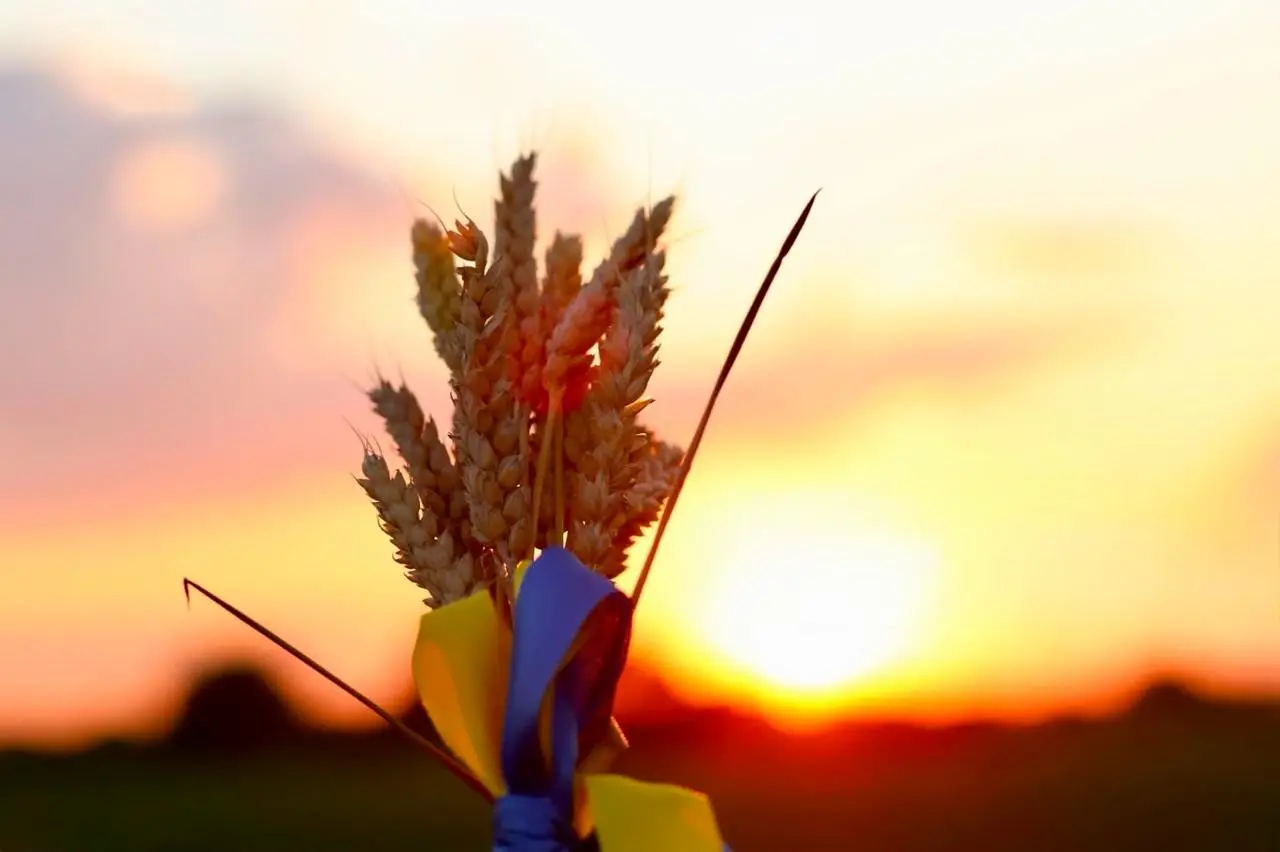 Зображення для новини З Днем Конституції України!