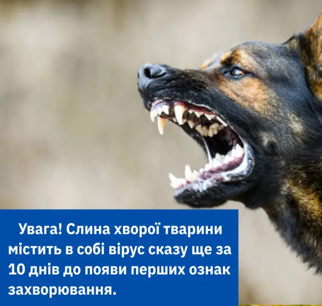 Зображення для новини ОБЕРЕЖНО, СКАЗ!