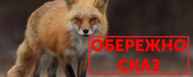 Зображення для новини 28 вересня – Всесвітній день боротьби зі сказом.