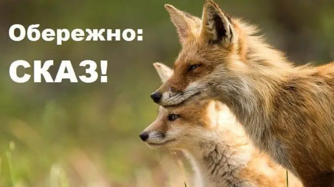 Зображення для новини СКАЗ