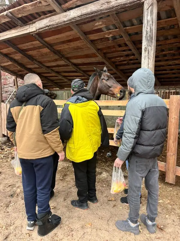Зображення для новини Іпотерапія як метод відновлення ментального здоров'я