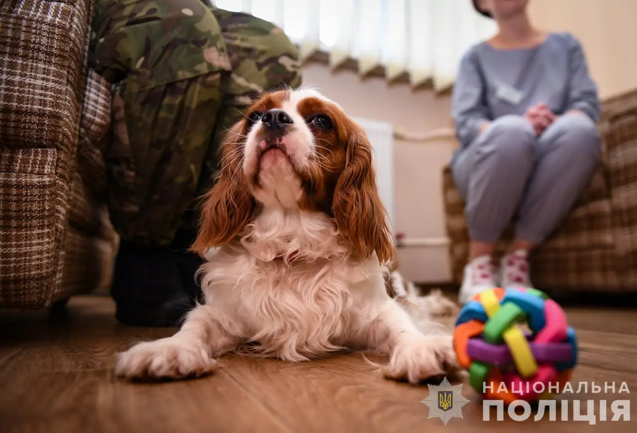 Зображення для новини Запорізькі поліцейські провели каністерапію для поранених захисників