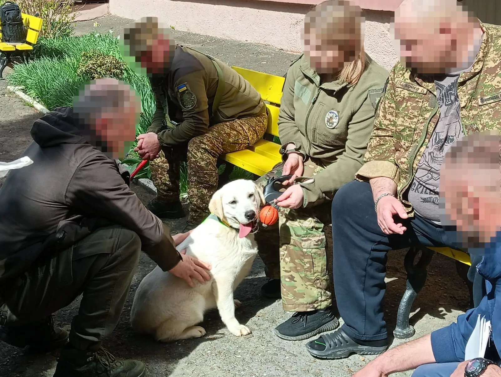 Зображення для новини Каністерапія