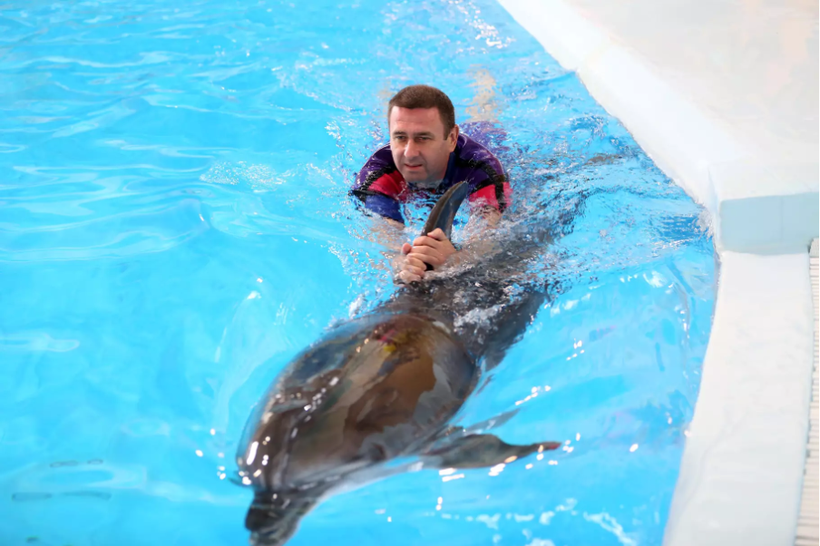 Військовослужбовців системи МВС реабілітують та відновлюють за допомогою дельфінотерапії